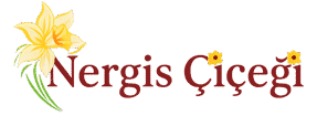 Nergis Dünyası