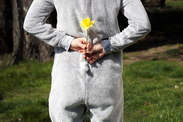 Hediyelik Nergis Çiçeği